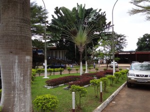 The University of Yaoundé I